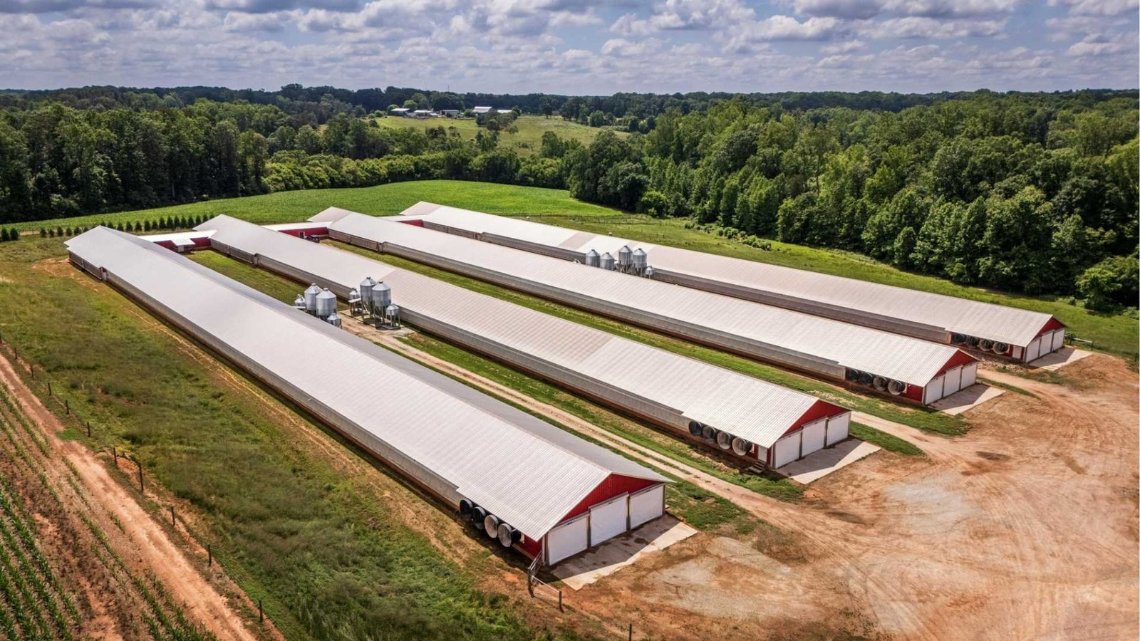 Warehousing and finance