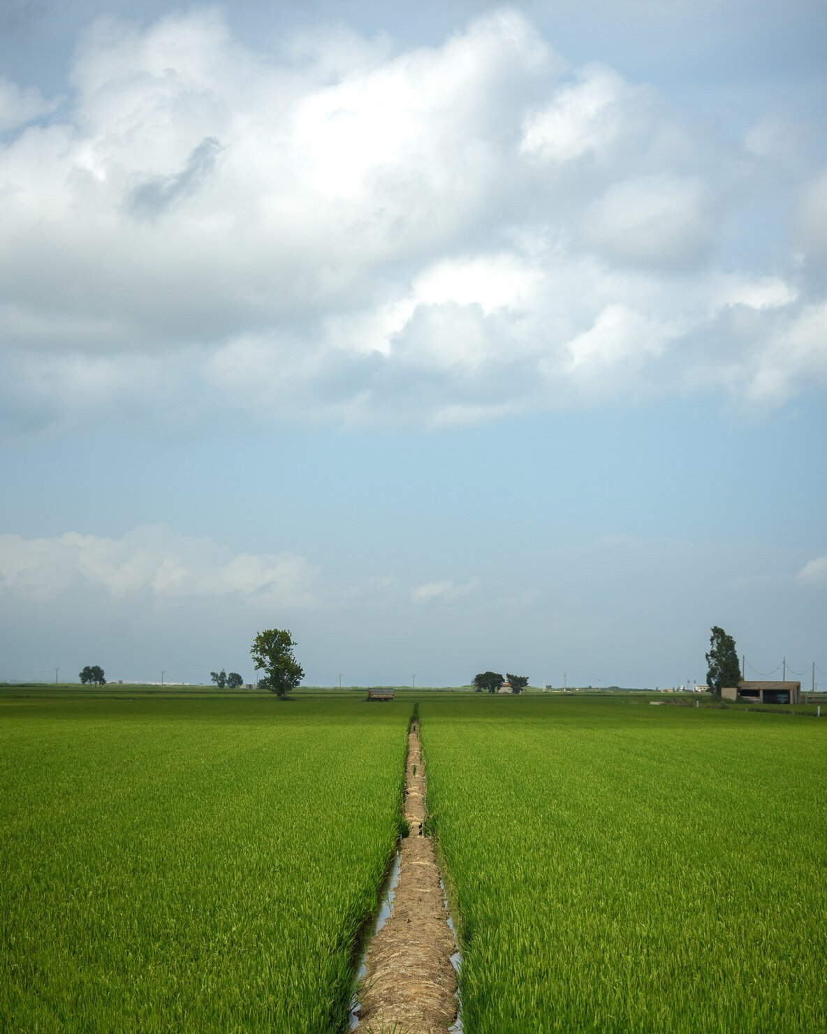 Platform Foundation